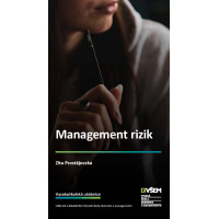 Management rizik